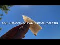 ABO Knapping Raw Coral- Dalton
