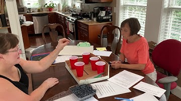 Layer 2 18B Final Assignment Part 2