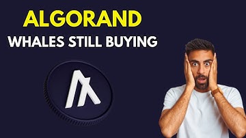 WHY THE WHALES ARE STILL BUYING ALGORAND