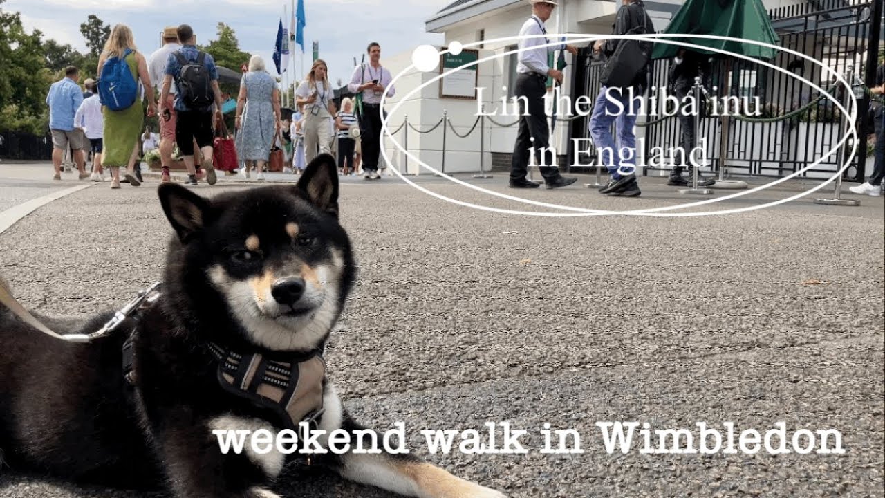 Weekend Walk weekend walk vol.11 - YouTube