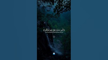 ﴿الَّذِينَ صَبَرُوا وَعَلَىٰ رَبِّهِمْ يَتَوَكَّلُون﴾ #اكسبلور #تابعوني #تلاوة_خاشعة #عبدالرحمن_مسعد