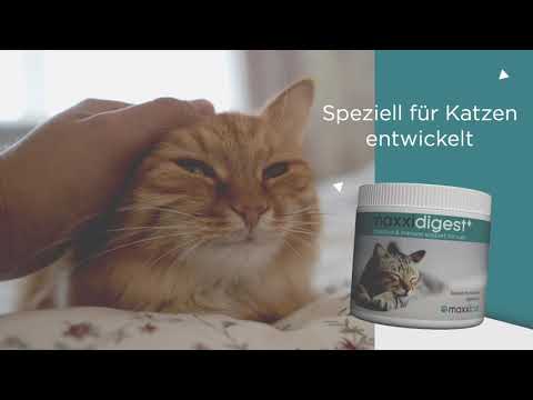 Video: Präbiotika Und Gewichtsverlust Bei Haustieren