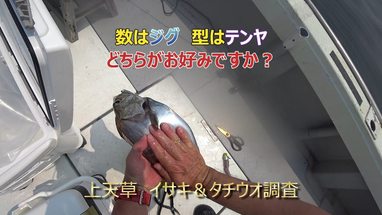 ２０２５年７月３日　八代海のイッサキさん・太刀魚さん 調査
