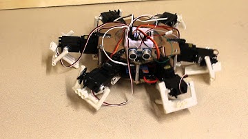 Hexapod Robot Dancing