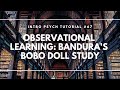 Observational Learning: Bandura's Bobo Doll Study (Intro Psych Tutorial #67)