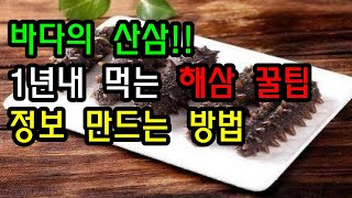 해삼꿀청   만드는법👍해삼효능알고 드세요!! 원기회복제!! 해삼 손질법👍