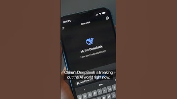 What is China’s DeepSeek and why is it freaking out the AI world?
