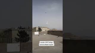 mardin taklacı oyun kuşu