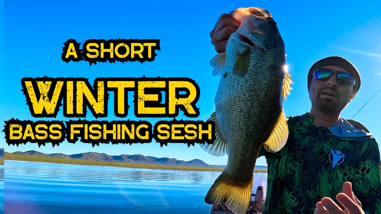 A Short Winter Bass Fishing Sesh #jangomike #bassfishing #bass #winter