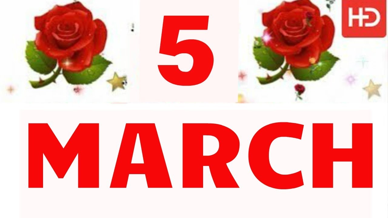 5 March Special New Birthday Status Video Happy Birthday Wishes