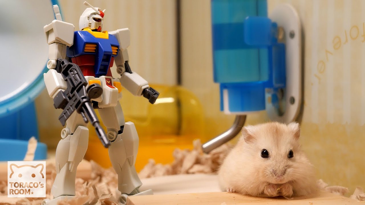 ハムスターページ 8010690087436_1_720x.jpg?v=