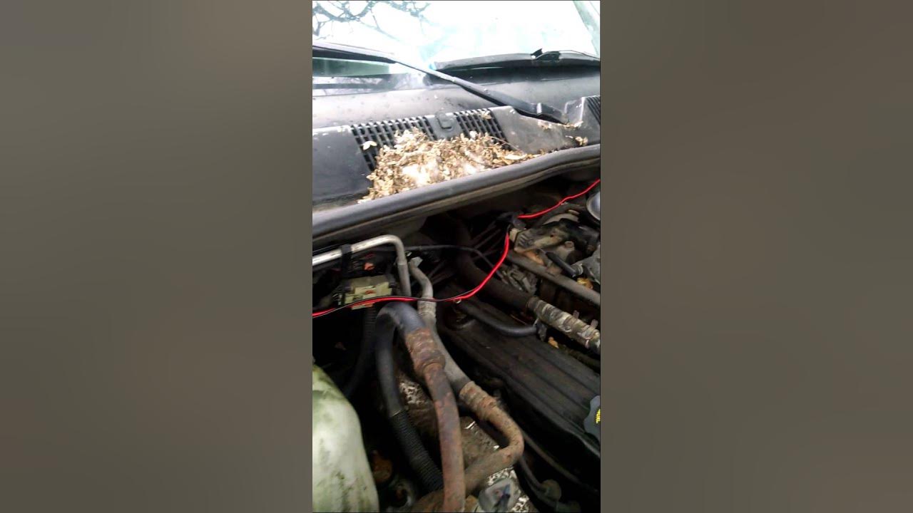 Grand Cherokee defrost fix YouTube