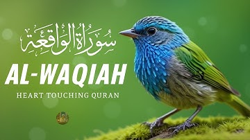 Best Relaxing Quran | Surah Waqiah سورة الواقعة | Amazing Voice | Rawdat Al-Quran TV