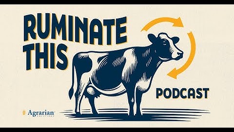 How LivOx Boosts Gut Health, Liver Function, and Milk Production in Dairy Cows