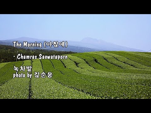 The Morning (아침에)/ <strong>Chamras</strong> Saewataporn &amp;amp; photo by 김순용
