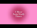 Ultimate 1hour pink aura study timer  no breaks  boost productivity and focus