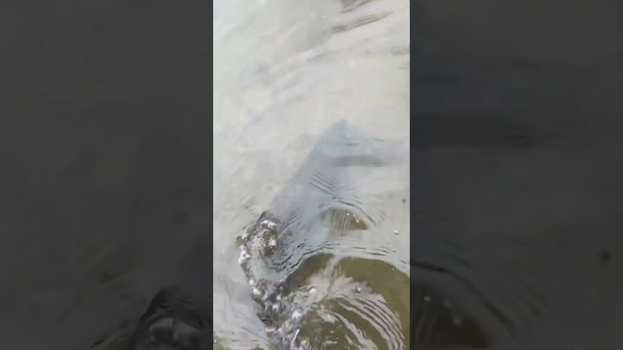 LOVE COLD WEATHER 🥶CHROMEEEE