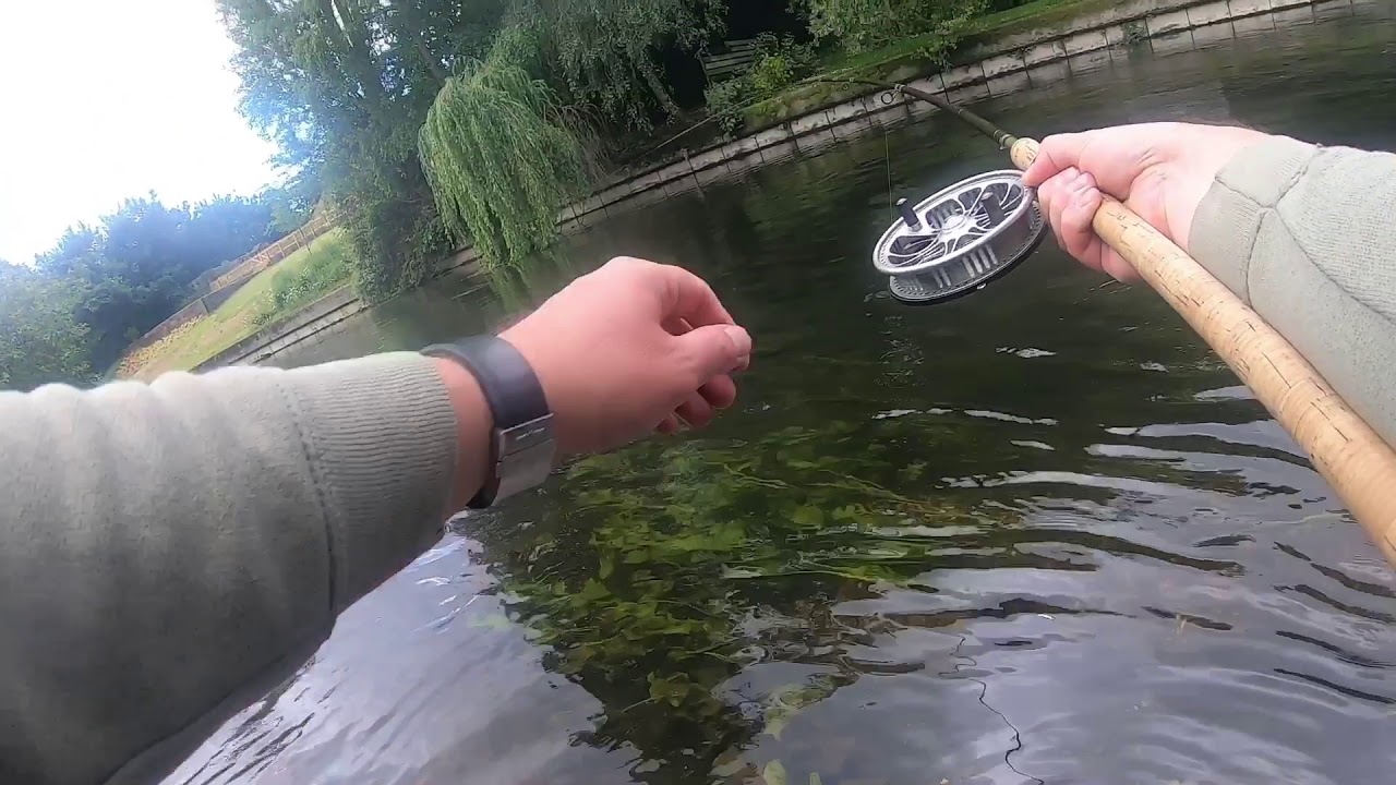 Throop Fishery Dorset Stour Carp