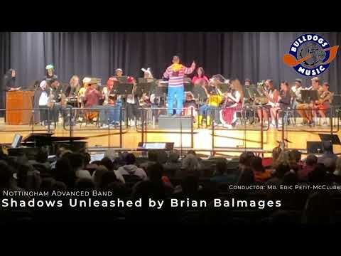 Shadows Unleashed -