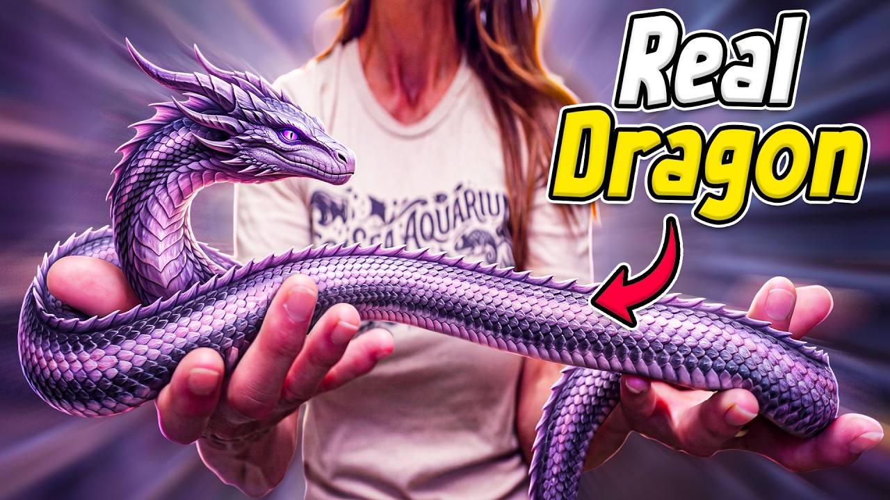 I'm Breeding Dragon Snakes!