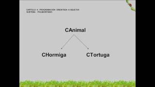 JAVA  PROGRAMACION ORIENTADA A OBJETOS (Fragmento)