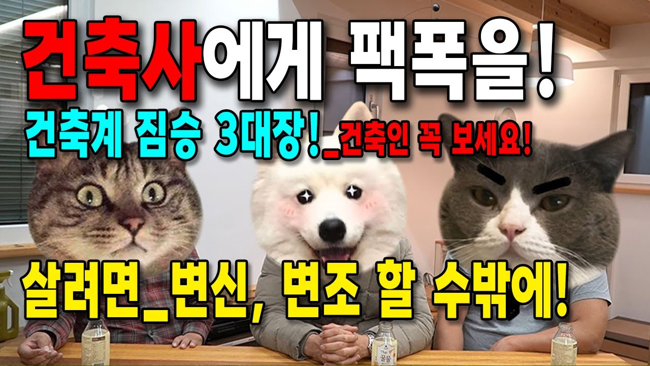 건축사 이건 문제다-건축사에게 팩폭을. 건축인들 꼭 보세요 / #건축사 #건축설계 #주택설계 #건축가박현근