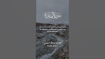 راحة نفسية | عبدالله النجمي #ترند #قران_كريم #تلاوات_خاشعة #تيك_توك #اكسبلور #المصحف #حالات_واتس
