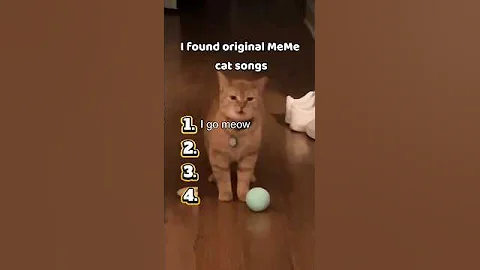 Video 8261701: persiancat siamesecat mainecoon ragdollcat, mainecoon persiancat siamesecat bengalcat, britishshorthair ragdollcat persiancat, mainecoon catlover ragdollcat, bengalcat sphynxcat