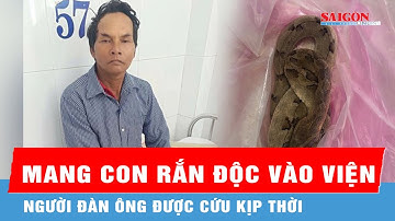 Mang theo con rắn độc cắn mình vào viện, người đàn ông được cứu kịp thời