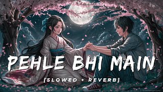 Pehle Bhi Main (Slowed + Reverb) | Animal | Vishal Mishra | Mind Relaxing lofi 🎧 song | Crystal Lofi