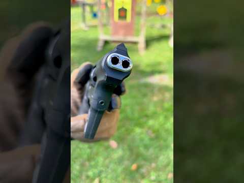 2 barrels 1 revolver