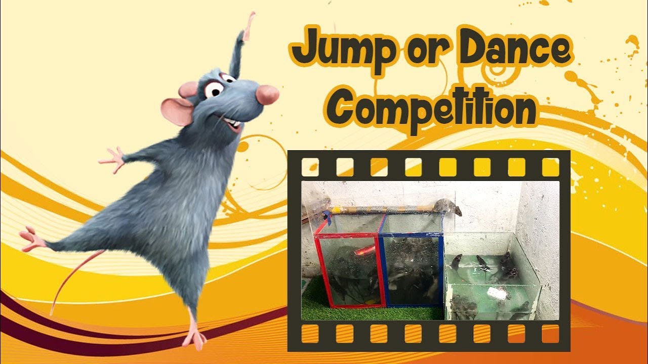 Glass Mouse Trap Rat Trap Instructions Best Way To Bait Mousetrap