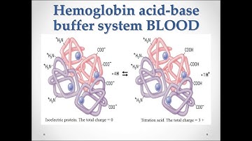 Mechanism of action of Hemoglobin buffering system
