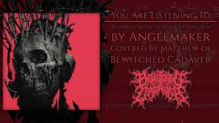 Angelmaker - Radiance In The Light of A Dying Sun | Vocal Cover by Matthew Sullivan