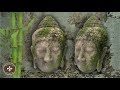 Moha hatás paszta - Buddha-fej / Moss Effect Paste