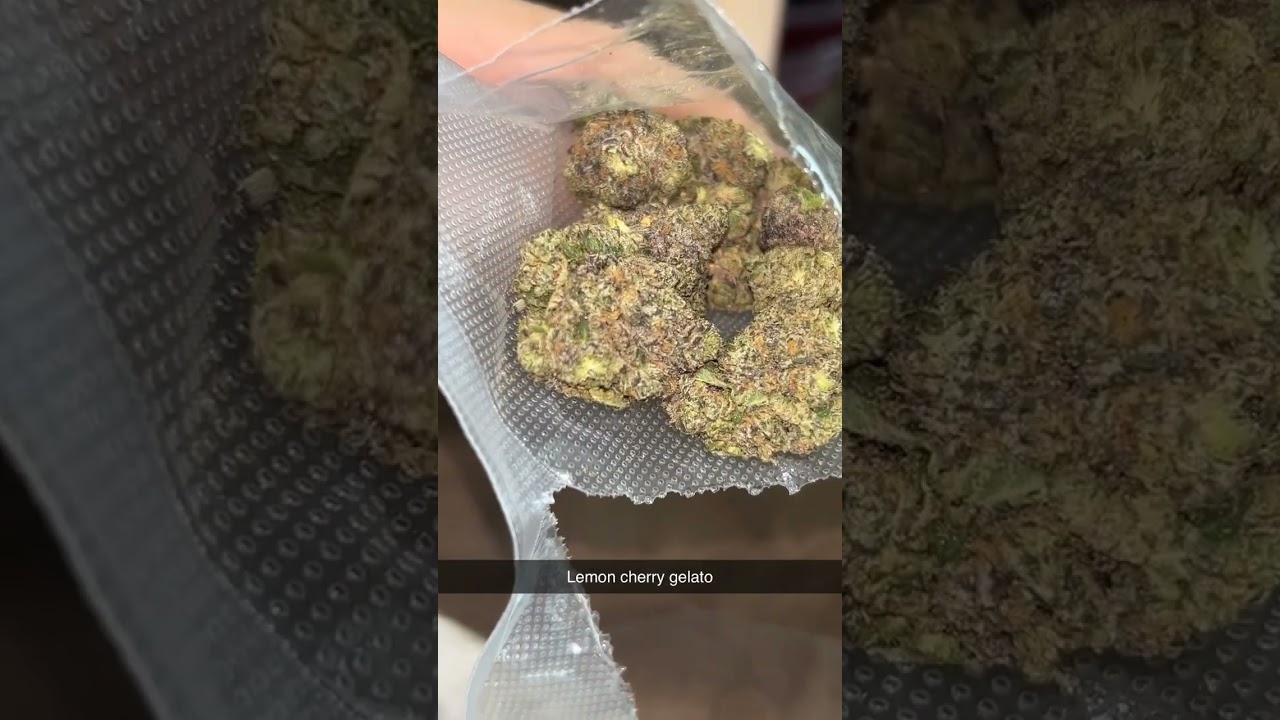 Deepwoods has that 🔥 