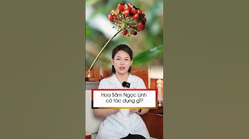 Hoa Sâm Ngọc Linh có tác dụng gì? | Sâm Ngọc Linh Tuệ Linh #shorts