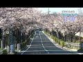 【手話動画】浦安市民の歌(字幕付き)