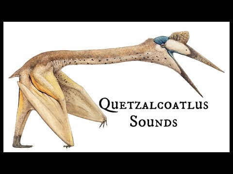 Quetzalcoatlus Sounds