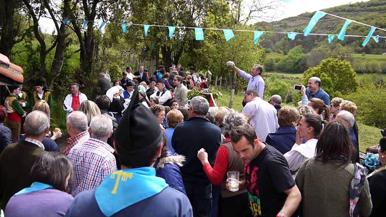 Puya l´ramu Llandellena 2014 - Huevos