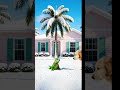 It’s Raining Iguanas in Florida 🦎❄️ #weirdweather #FrozenIguana #funny #floridaweather #surreal