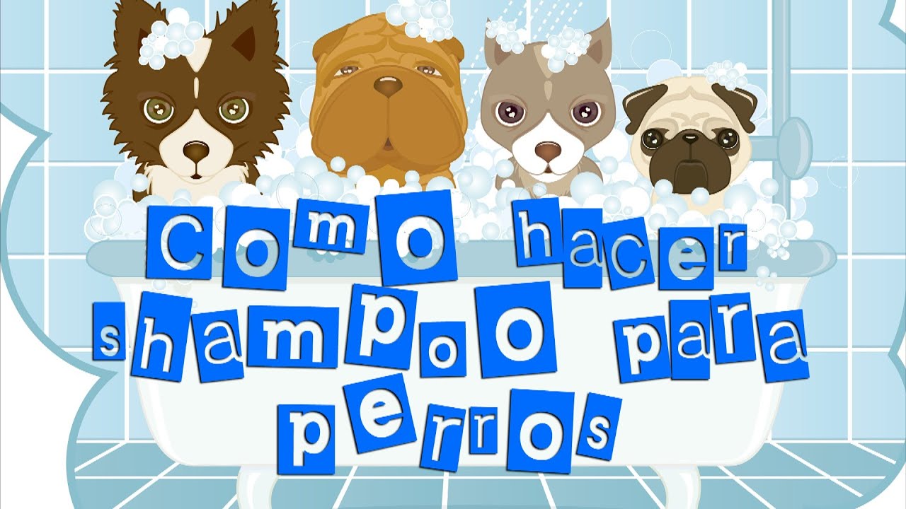 Como hacer shampoo champú para perros YouTube