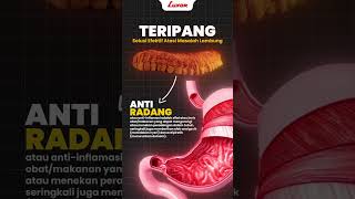 Manfaat Ajaib Teripang Untuk Kesehatan Kamu  #skincareroutine #sedap #skincarebogor #beautyhacks