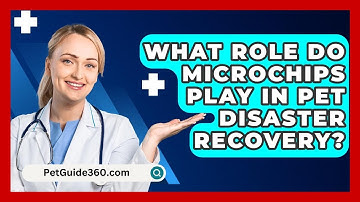 What Role Do Microchips Play In Pet Disaster Recovery? - PetGuide360.com