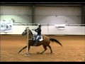 Pinto world championship 2012 shiloh horse ranch loganville ga