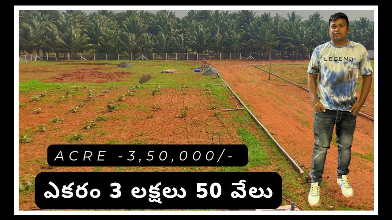 Acre 3,50,000/ Agricultural land sale kurnool 50 Acres land cheap land best