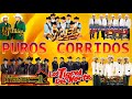 Los Tigres del Norte, Los Invasores de Nuevo León, Pesado,Palomo,Intocable, Cardenales De Nuevo León