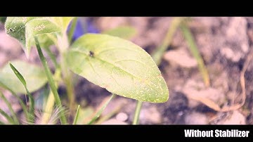 Adobe After Effects CS6 