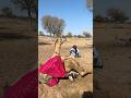امرأة تجد طريقة مدهشة لتبريد جمل تحت شمس الصحراء الحارقة