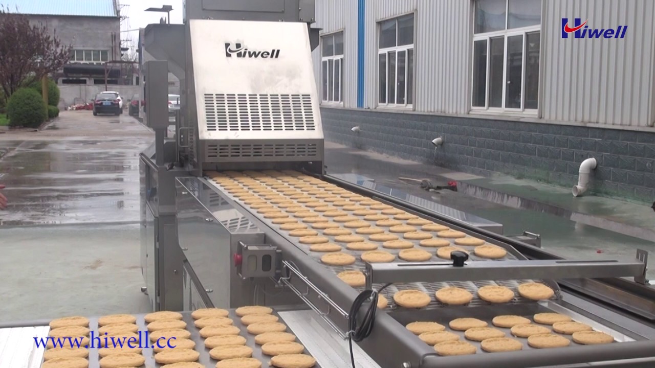 hiwell-Shuttle Conveyor Systems.mp4